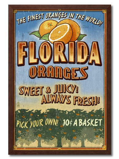 florida-oranges